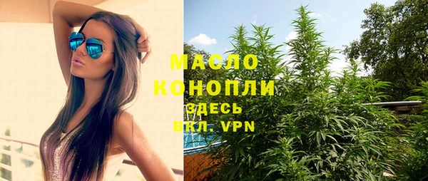 шишки Сясьстрой