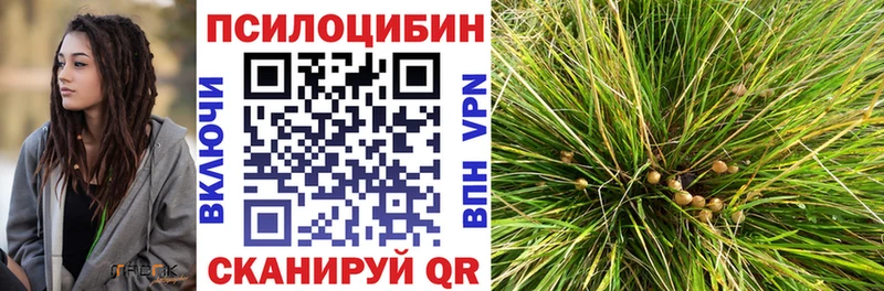 МЕГА зеркало Короча Псилоцибиновые грибы MAGIC MUSHROOMS